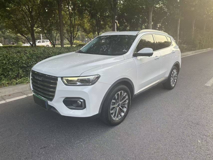 Haval 2020 H6 1.5GDIT Platinum Champion Version