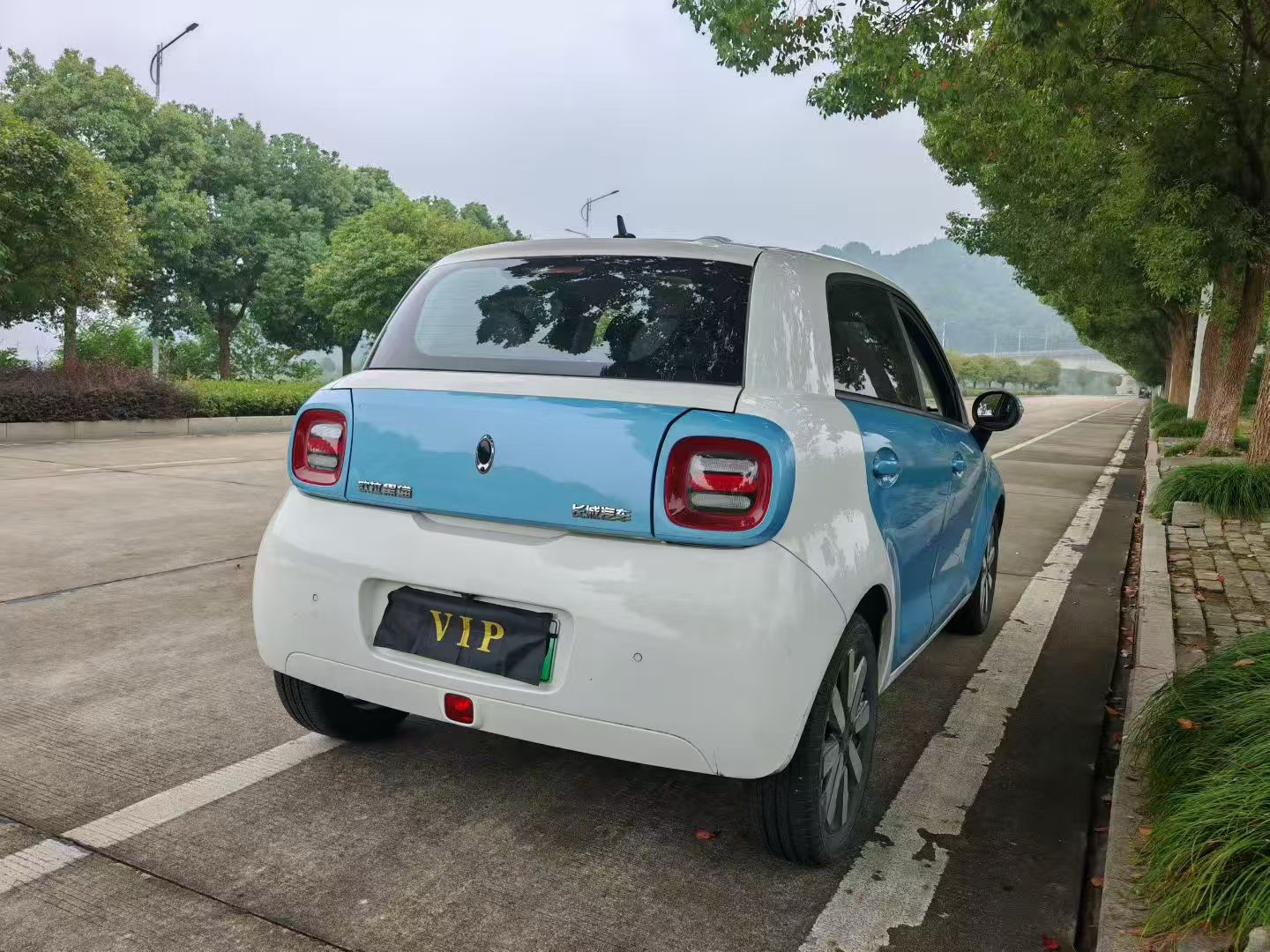 ORA 2021 R1 (Black Cat) 351km Standard Model photo 5
