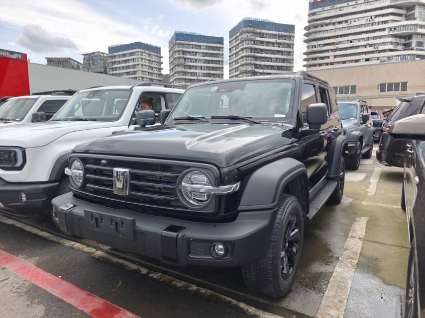 TANK 2021 Tank 300 2.0T Off-Road Edition Conqueror