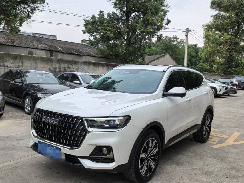 Haval 2023 H6 1.5T National Trend Edition Champion Version