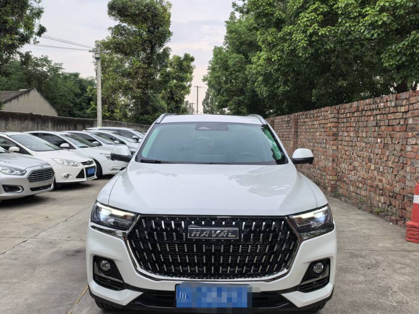 Haval 2023 H6 1.5T National Trend Edition Champion Version photo 2