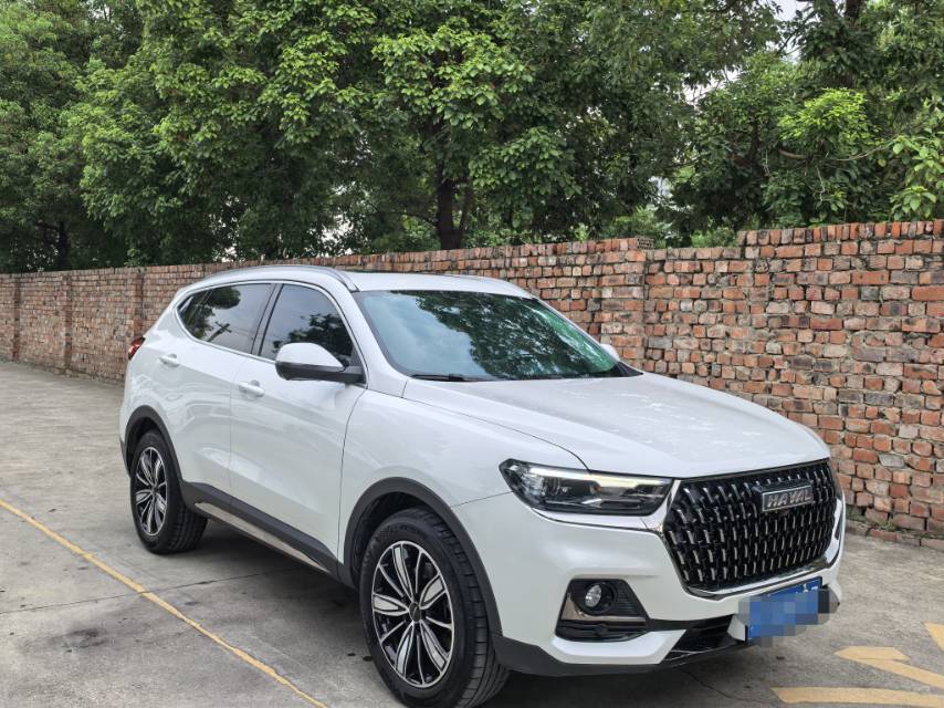 Haval 2023 H6 1.5T National Trend Edition Champion Version photo 3