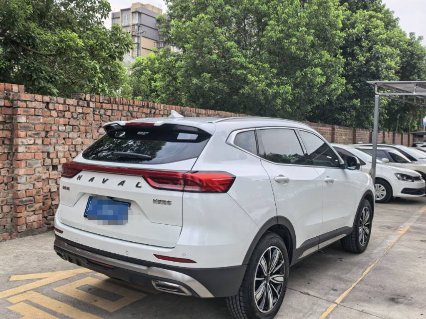 Haval 2023 H6 1.5T National Trend Edition Champion Version photo 4
