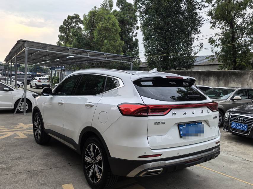 Haval 2023 H6 1.5T National Trend Edition Champion Version photo 5