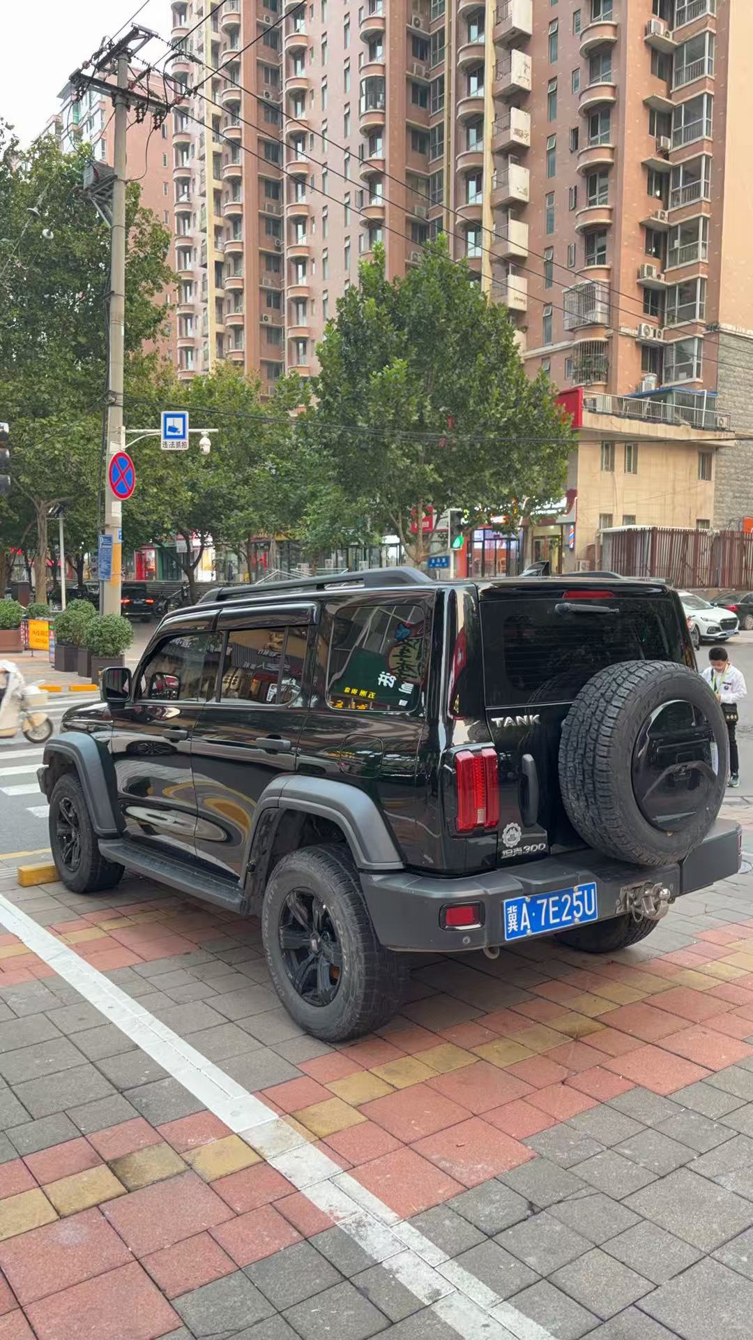TANK Tank 300 2.0T Off-Road Edition Conqueror photo 3