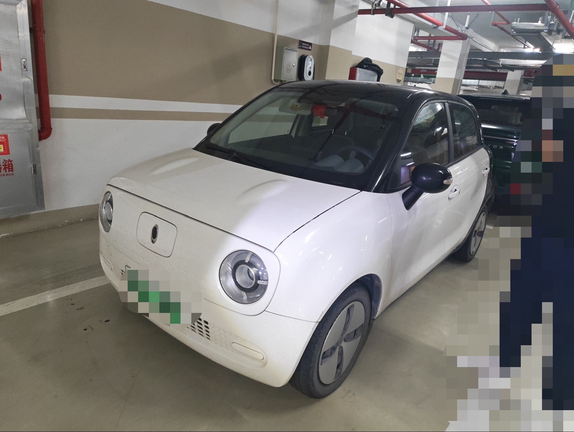 ORA 2021 R1 (Black Cat) 301 km Pet Edition