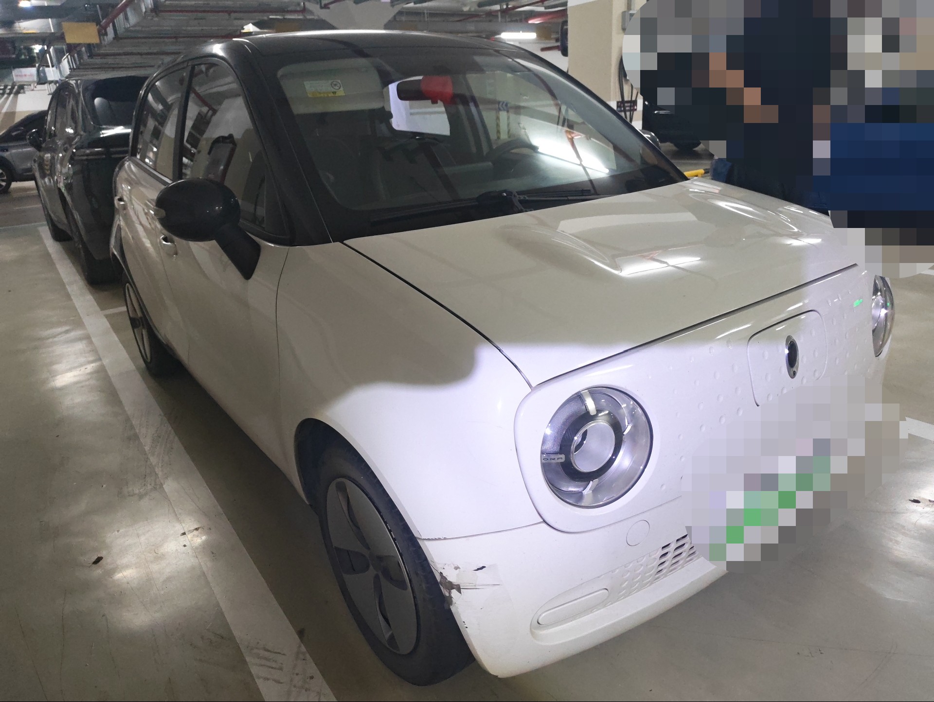 ORA 2021 R1 (Black Cat) 301 km Pet Edition fotoğraf 5