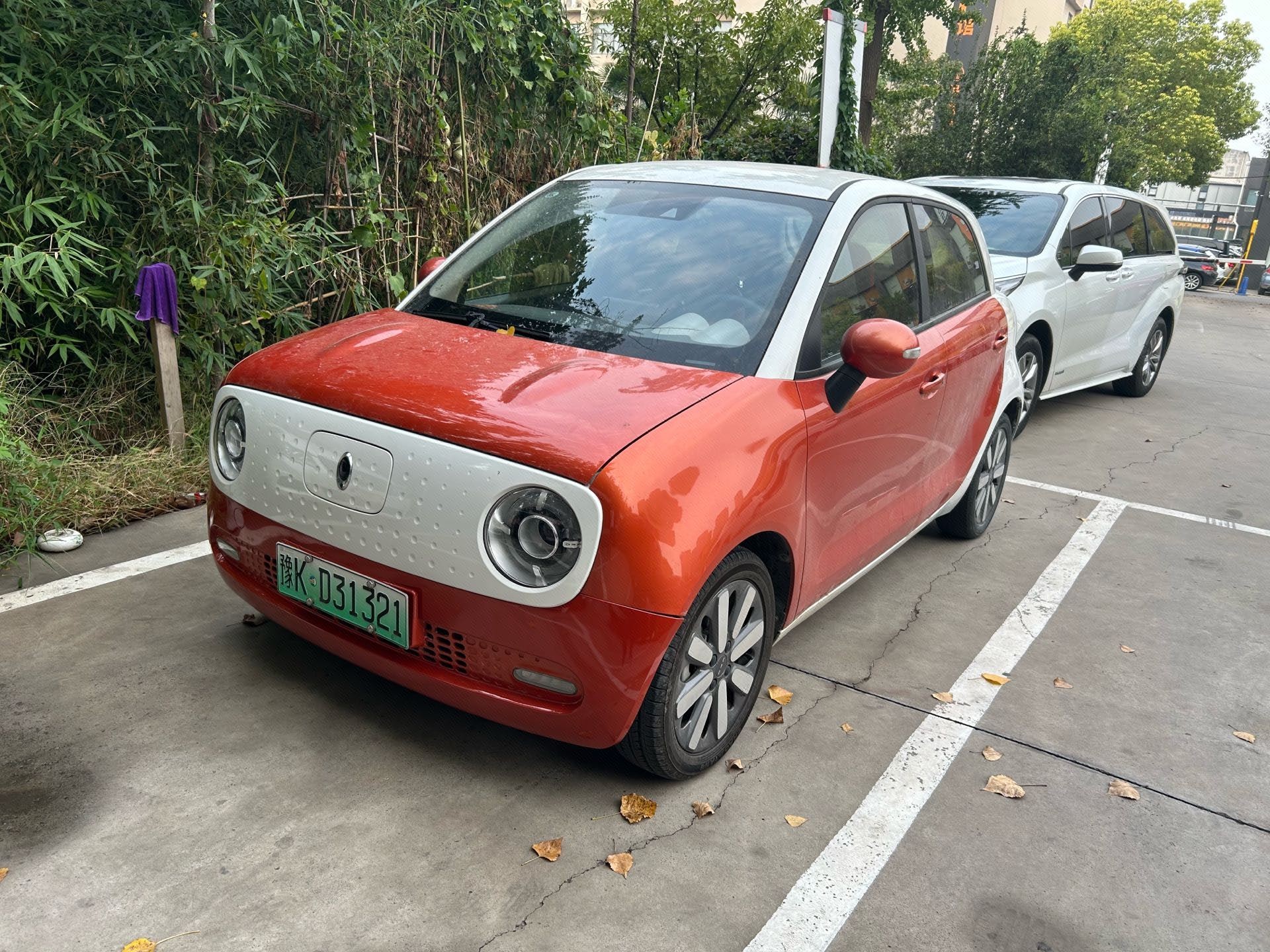 ORA 2021 R1 (Black Cat) 351km Luxury Model