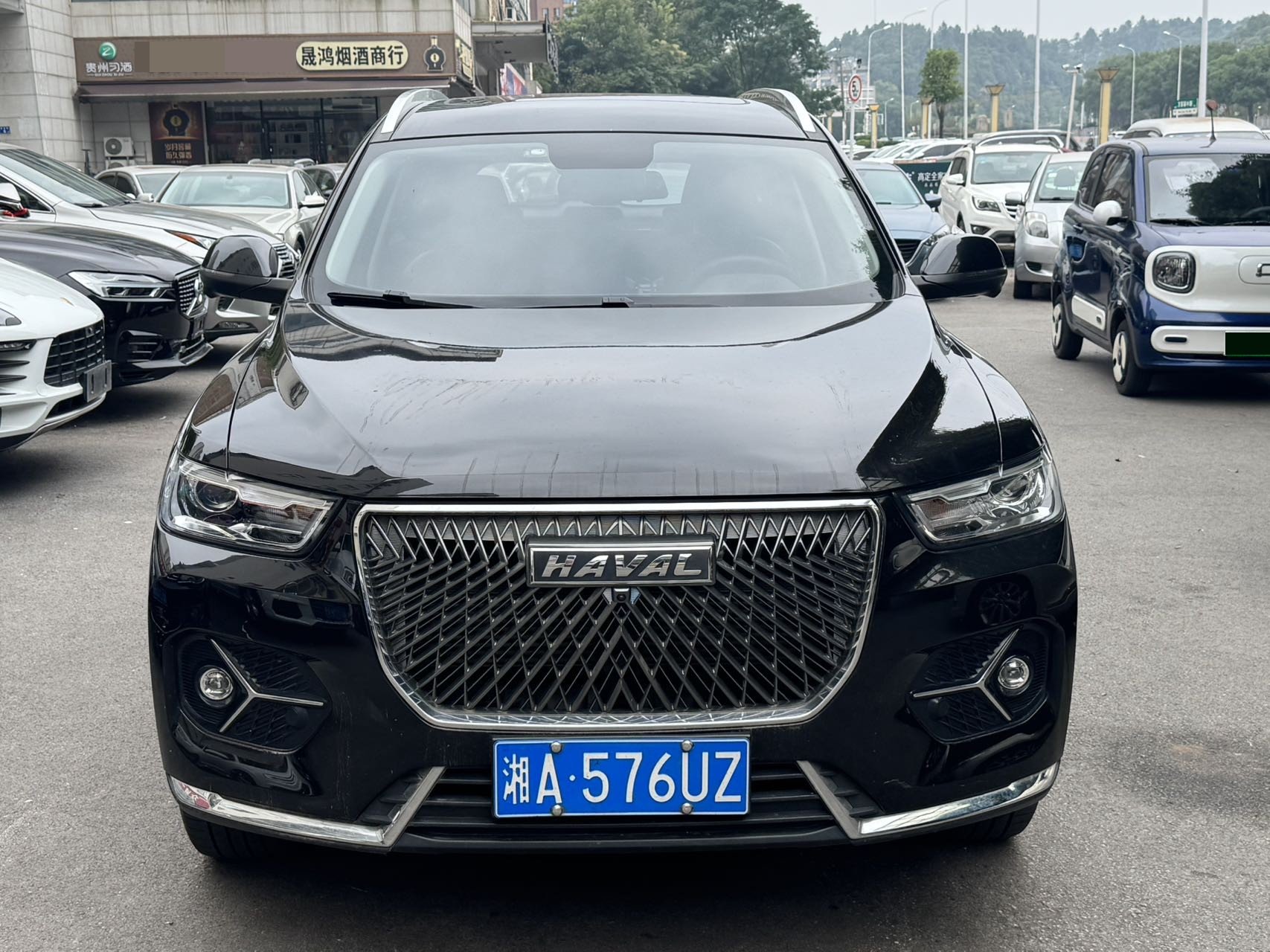 Haval 2020 H6 1.5GDIT Platinum Champion Version fotoğraf 2