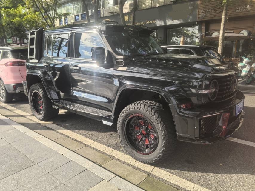 Фото TANK Tank 300 2.0T Off-Road Edition Conqueror — 2