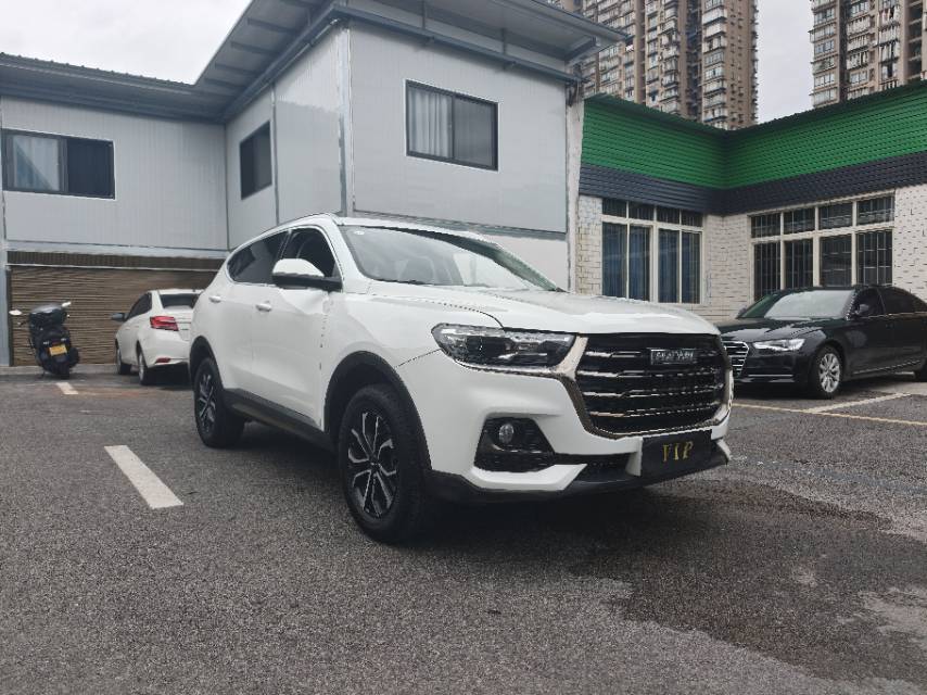 Haval 2021 H6 1.5T National Trend Edition Urban Version photo 2