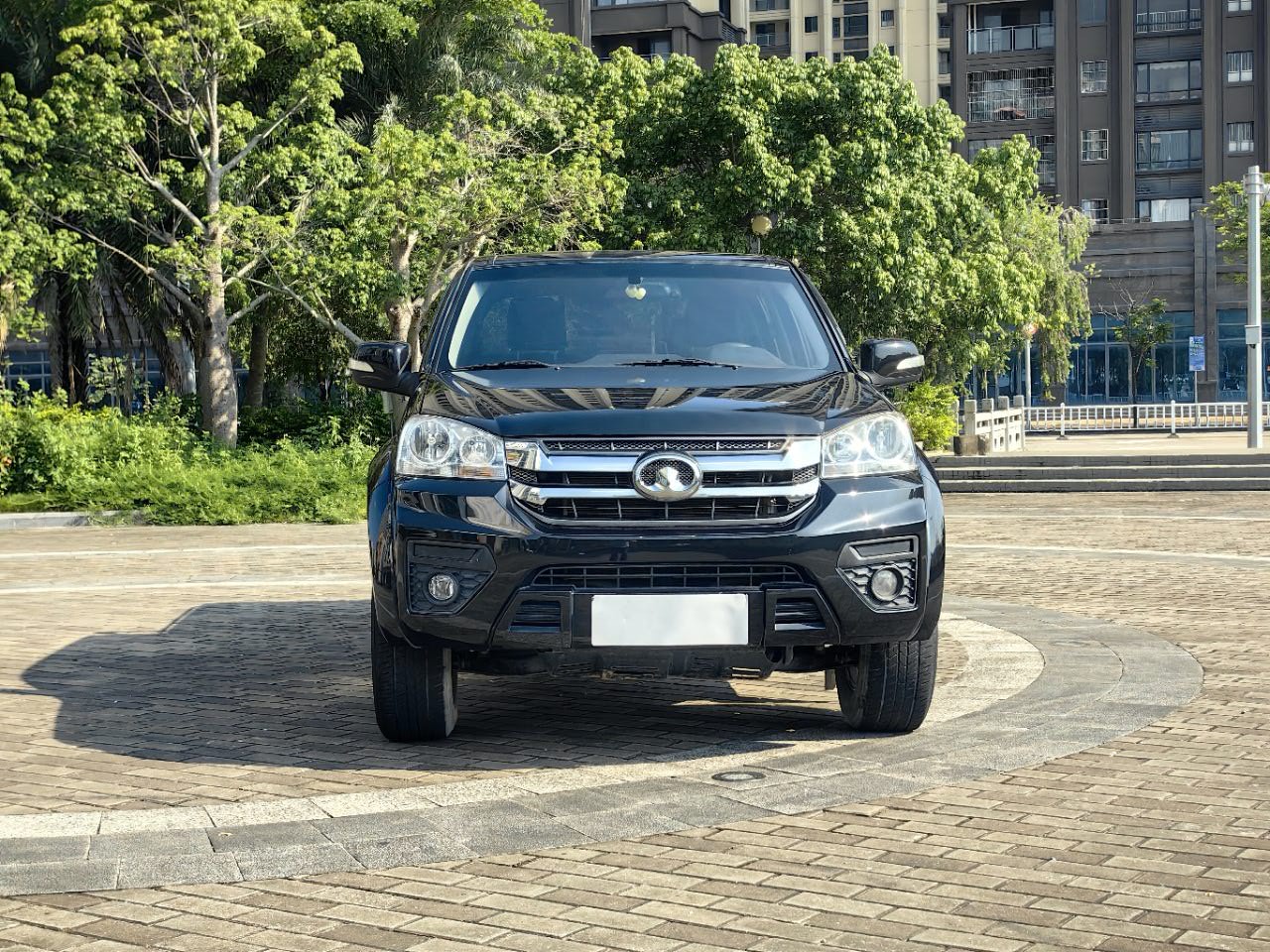 Great Wall Wingle 5 2023 Fengjun 5 2.0T 2x4 Elite Double Cab photo 3