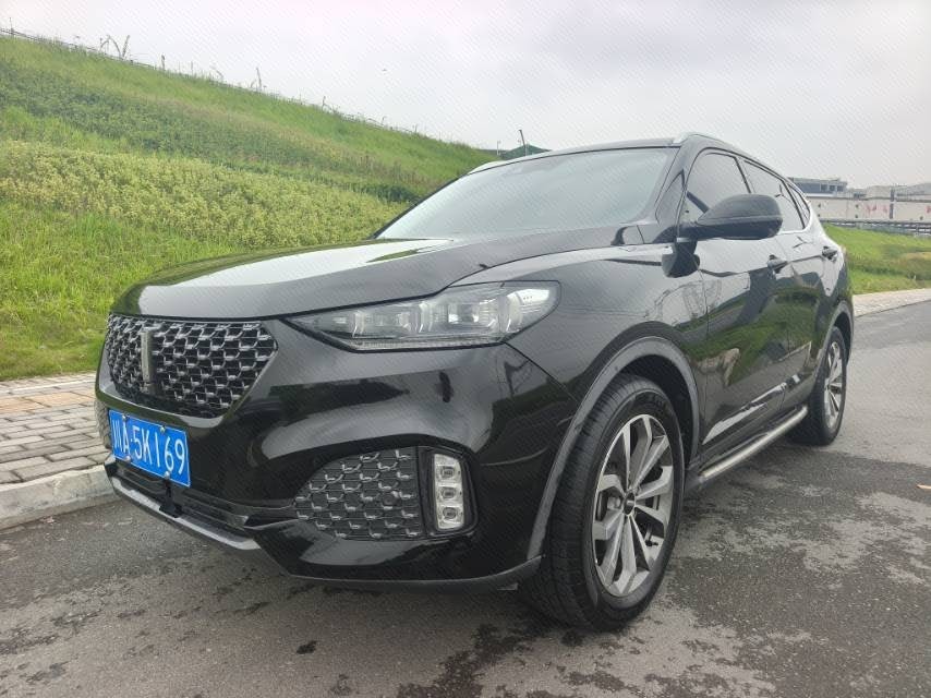 WEY 2020 VV6 2.0T Two-Wheel-Drive Zhixiang+