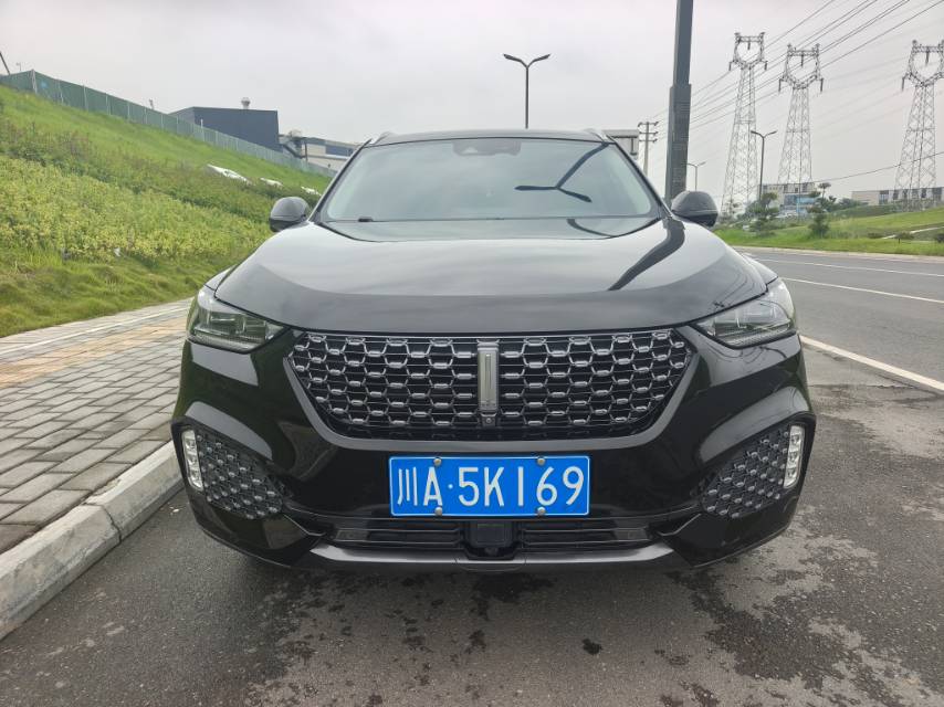 Фото WEY 2020 VV6 2.0T Two-Wheel-Drive Zhixiang+ — 2