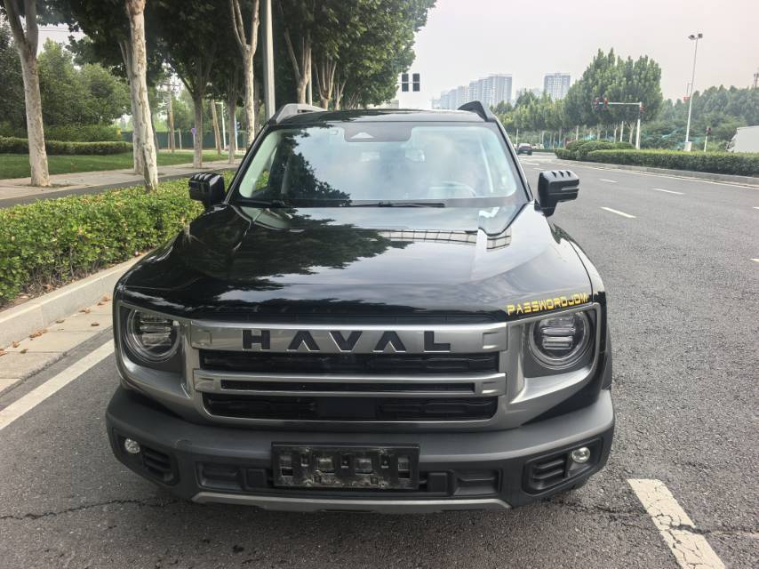 Haval Dargo 2024 Big Dog 1.5T Border Collie Edition photo 2