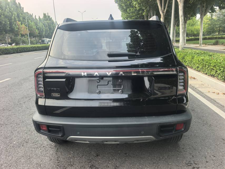 Haval Dargo 2024 Big Dog 1.5T Border Collie Edition photo 5