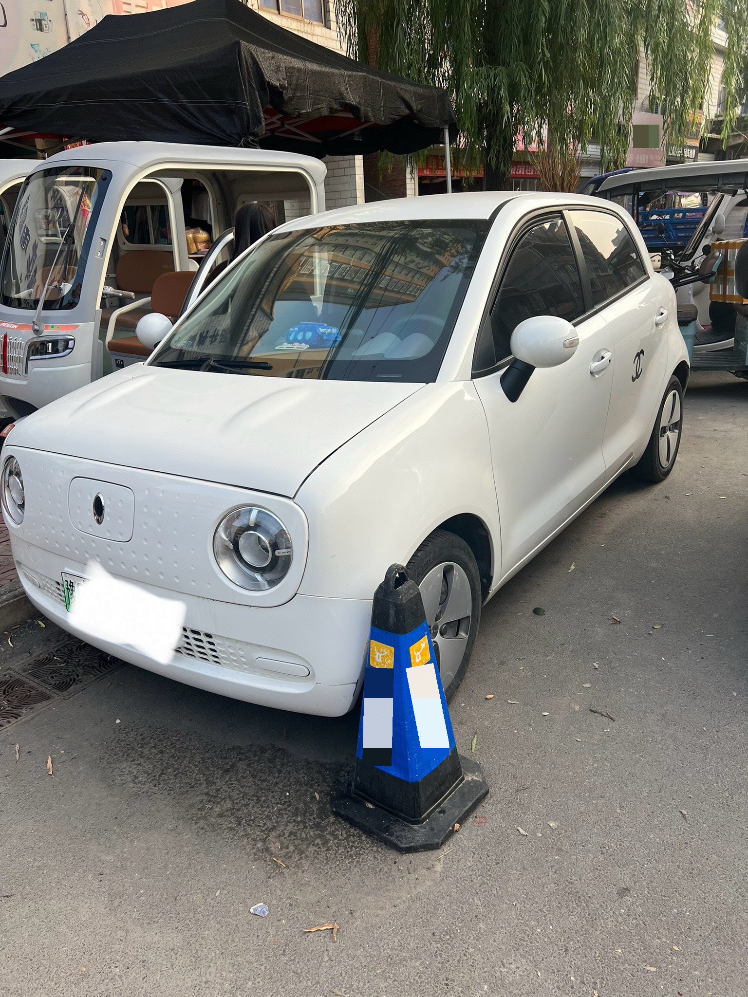 ORA 2019 R1 (Black Cat) 310km Dynamic Version