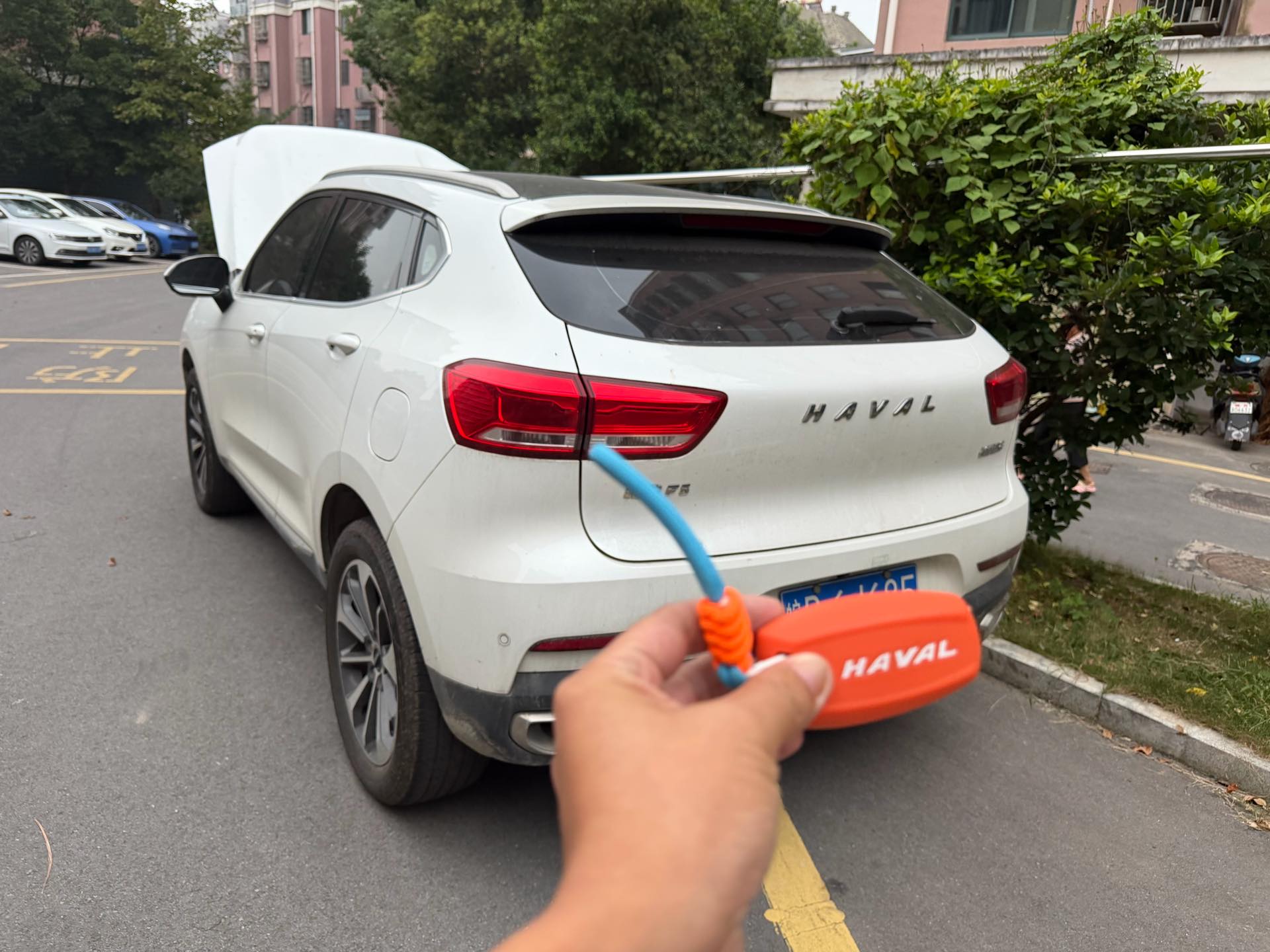 Haval 2019 F5 1.5T National Trend Edition i-Trend photo 5