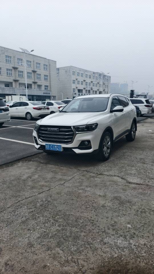 Haval 2021 H6 1.5T National Trend Edition Champion Edition