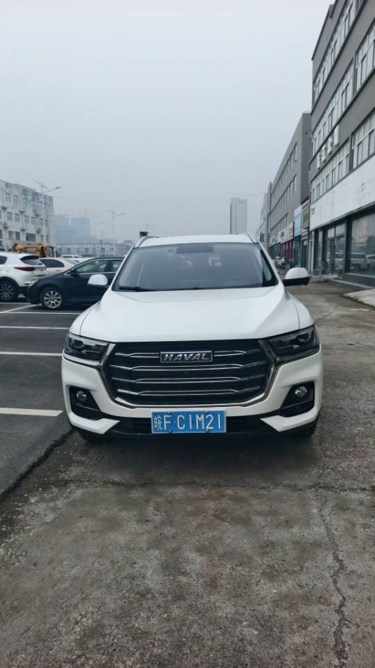 Фото Haval H6 1.5T National Trend Edition Champion Edition — 2
