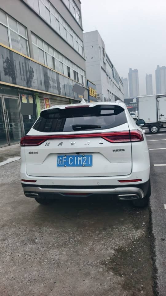 Фото Haval H6 1.5T National Trend Edition Champion Edition — 5