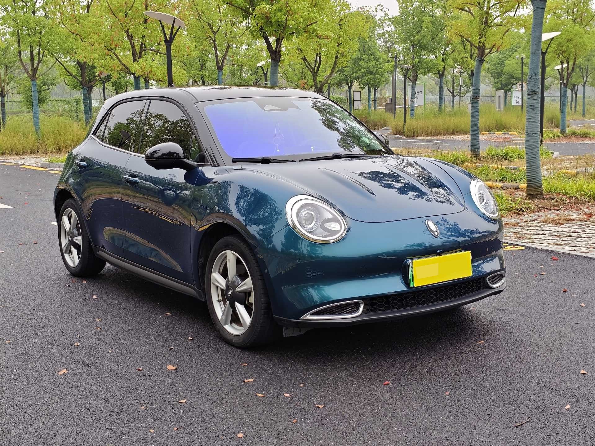 ORA 2021 Good Cat 400 km Standard Range Athena Edition photo 3