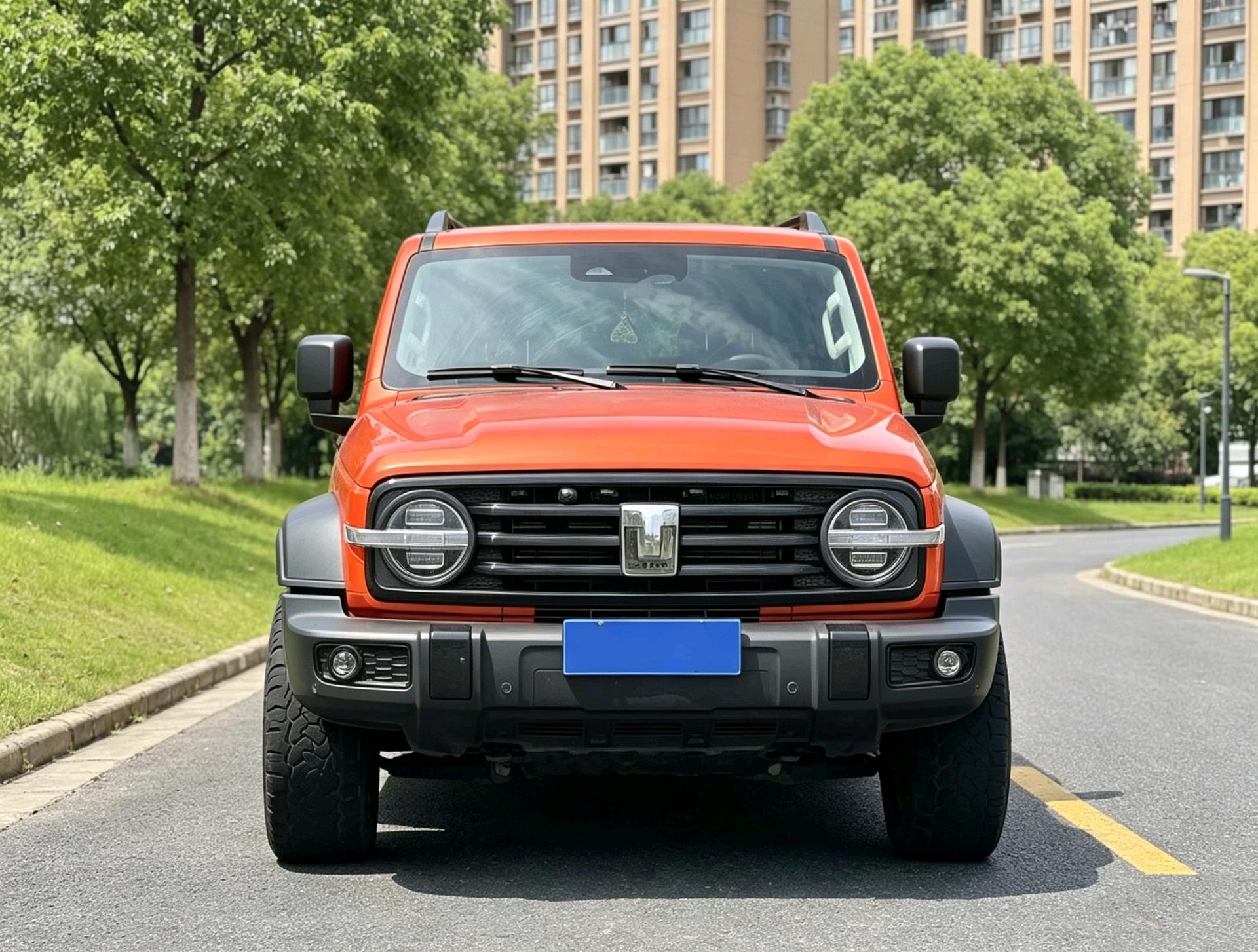 TANK 2021 Tank 300 2.0T Off-Road Edition Conqueror photo 2