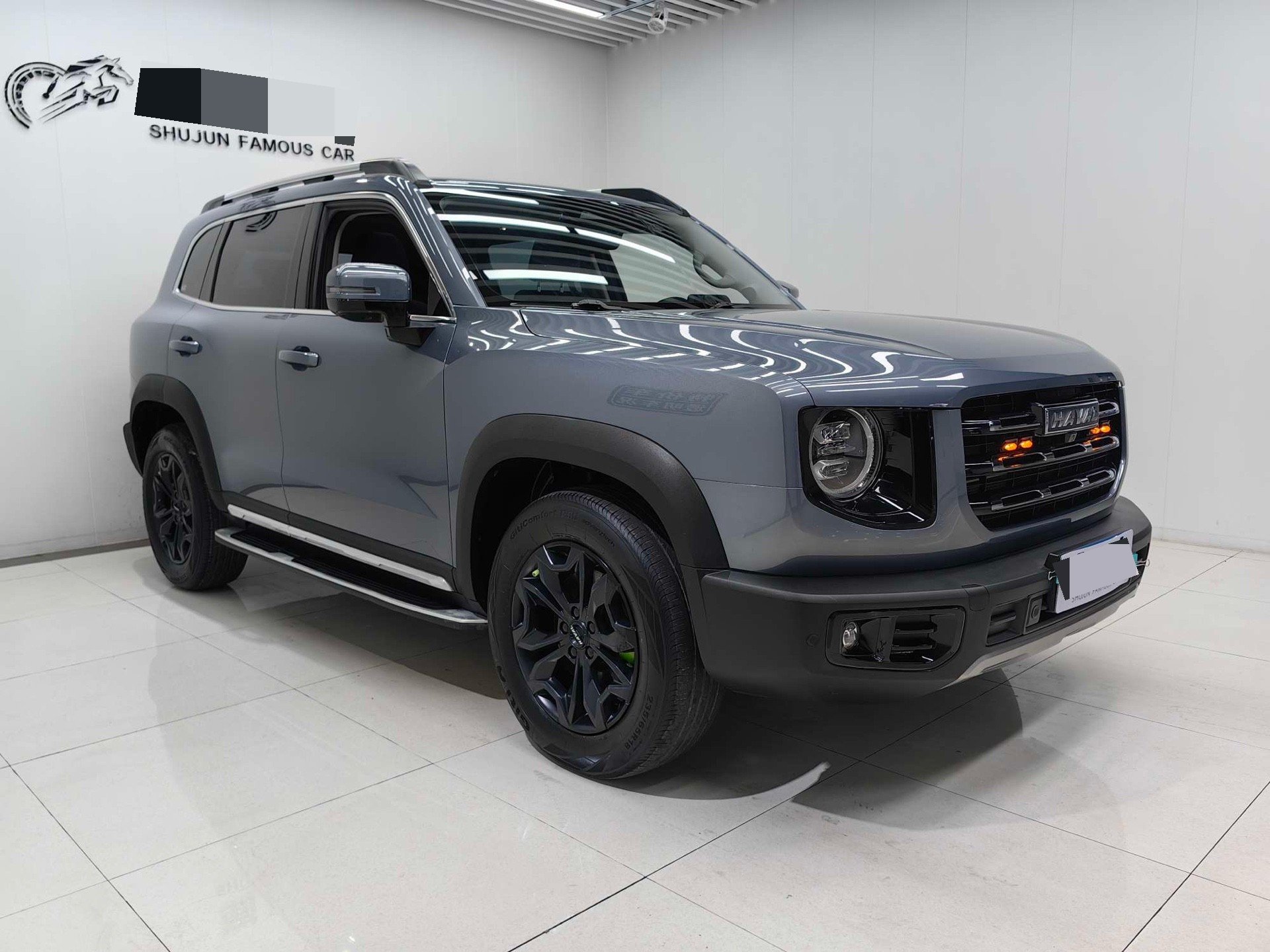 Haval Dargo 2021 Big Dog 2.0T Chinese Rural Dog Edition photo 3