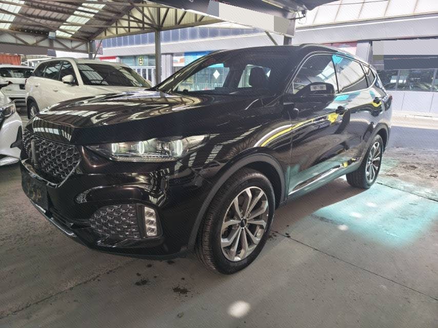 WEY 2020 VV6 2.0T Two-Wheel-Drive Zhihu+