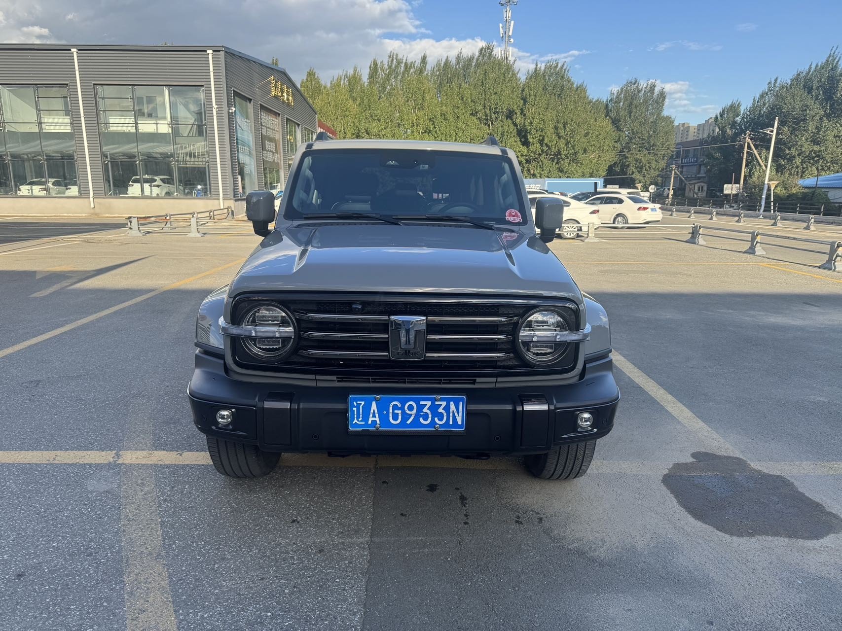 صورة TANK Tank 300 2.0T Urban Edition—So Stylish رقم 2
