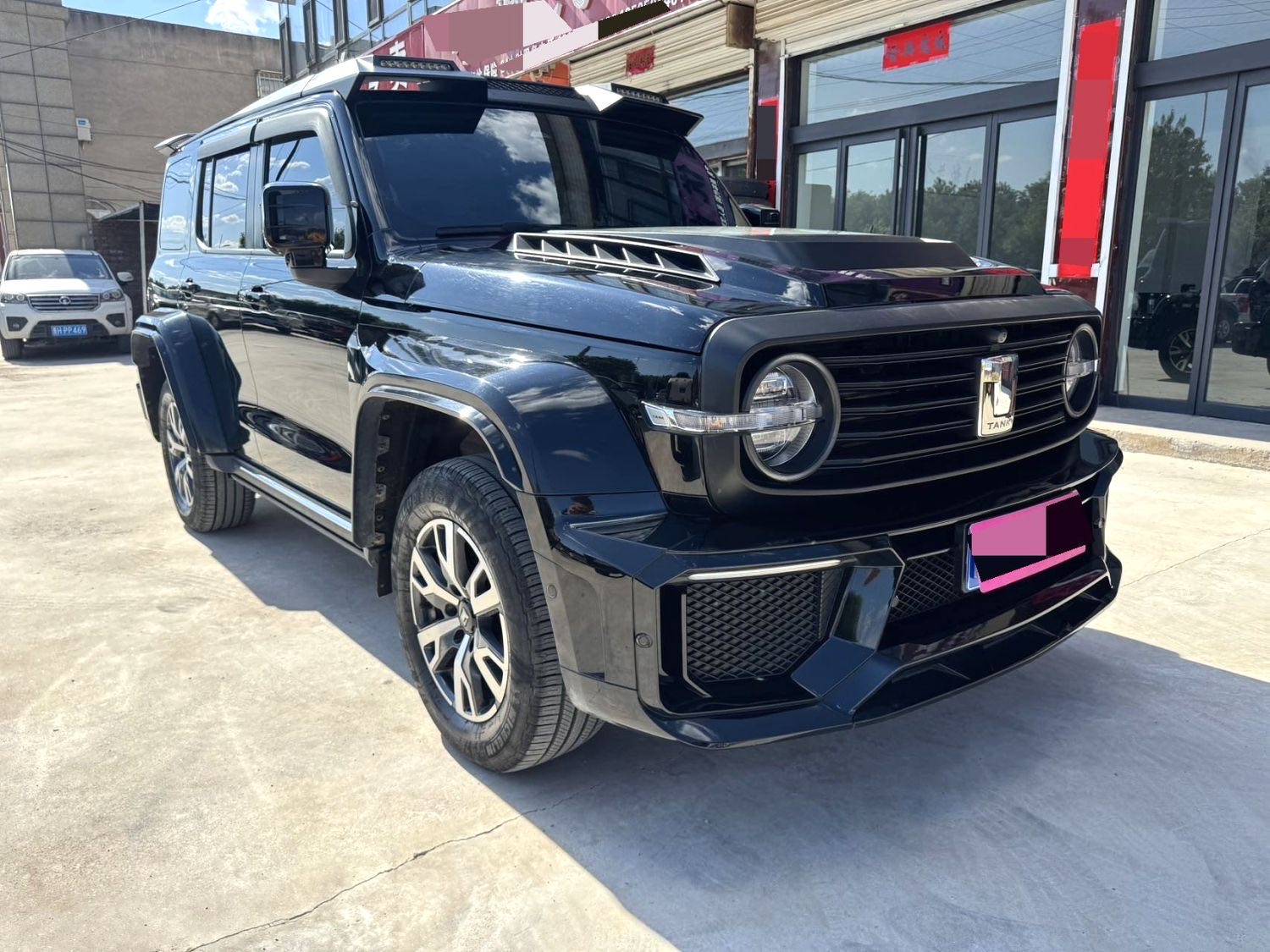 TANK 2021 Tank 300 2.0T Urban Edition—So Stylish photo 3