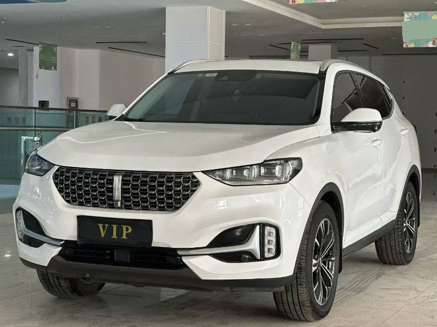 WEY 2021 VV6 2.0T FWD Intelligent Protection+