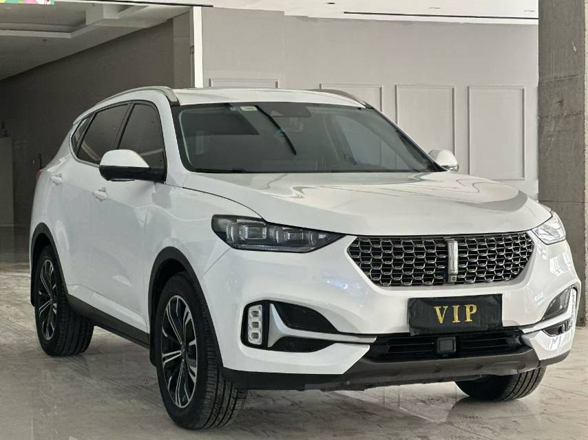 WEY 2021 VV6 2.0T FWD Intelligent Protection+ photo 3