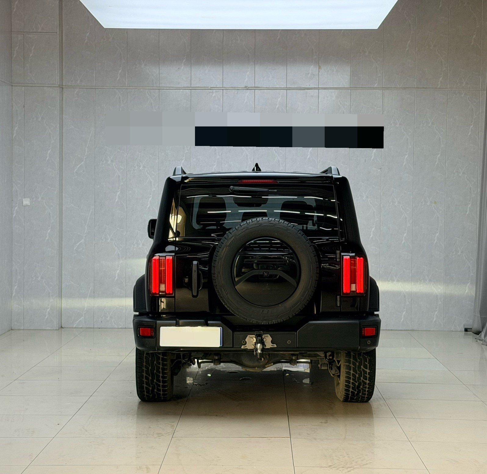 TANK 2021 Tank 300 2.0T Off-Road Edition Conqueror photo 5