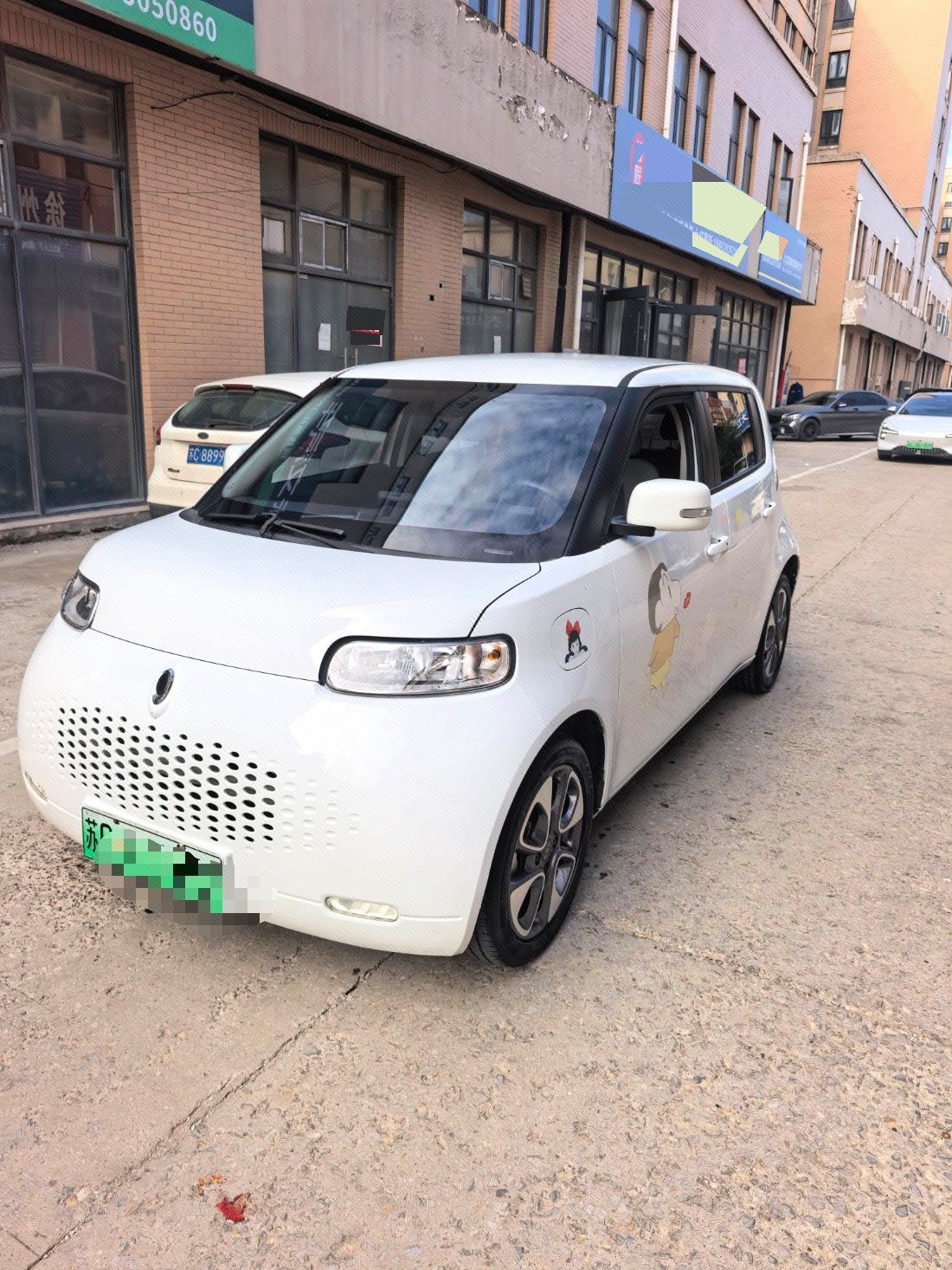 ORA 2020 R2 (White Cat) 305 km Luxury Model