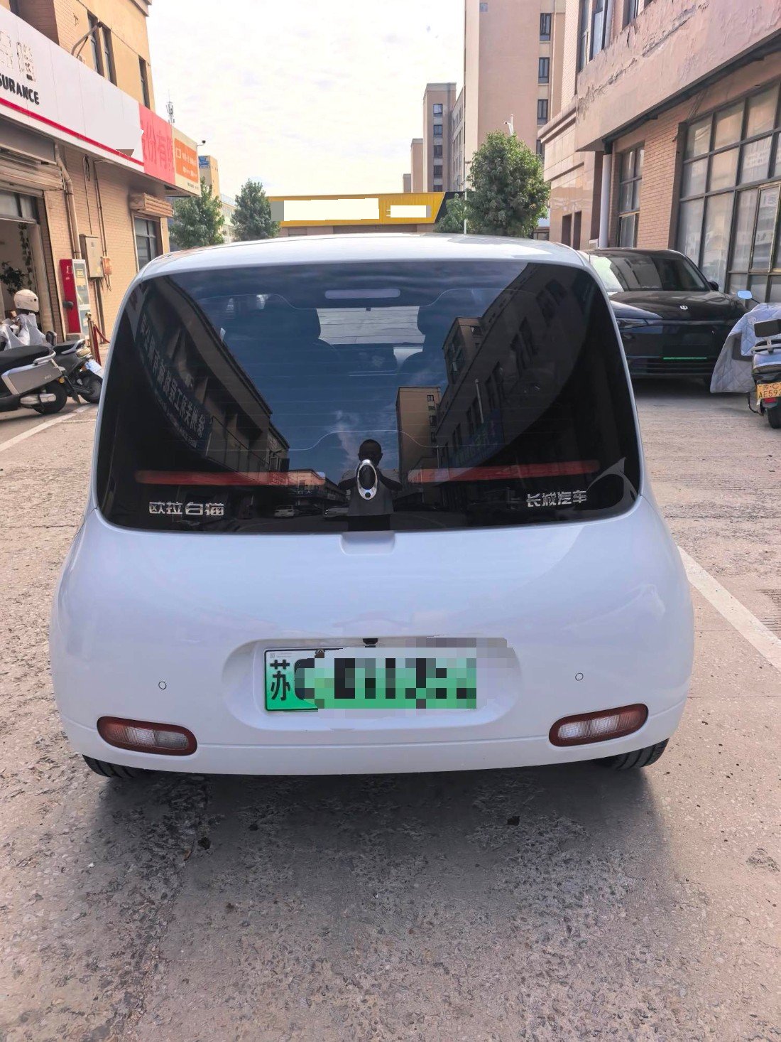 ORA 2020 R2 (White Cat) 305 km Luxury Model photo 4