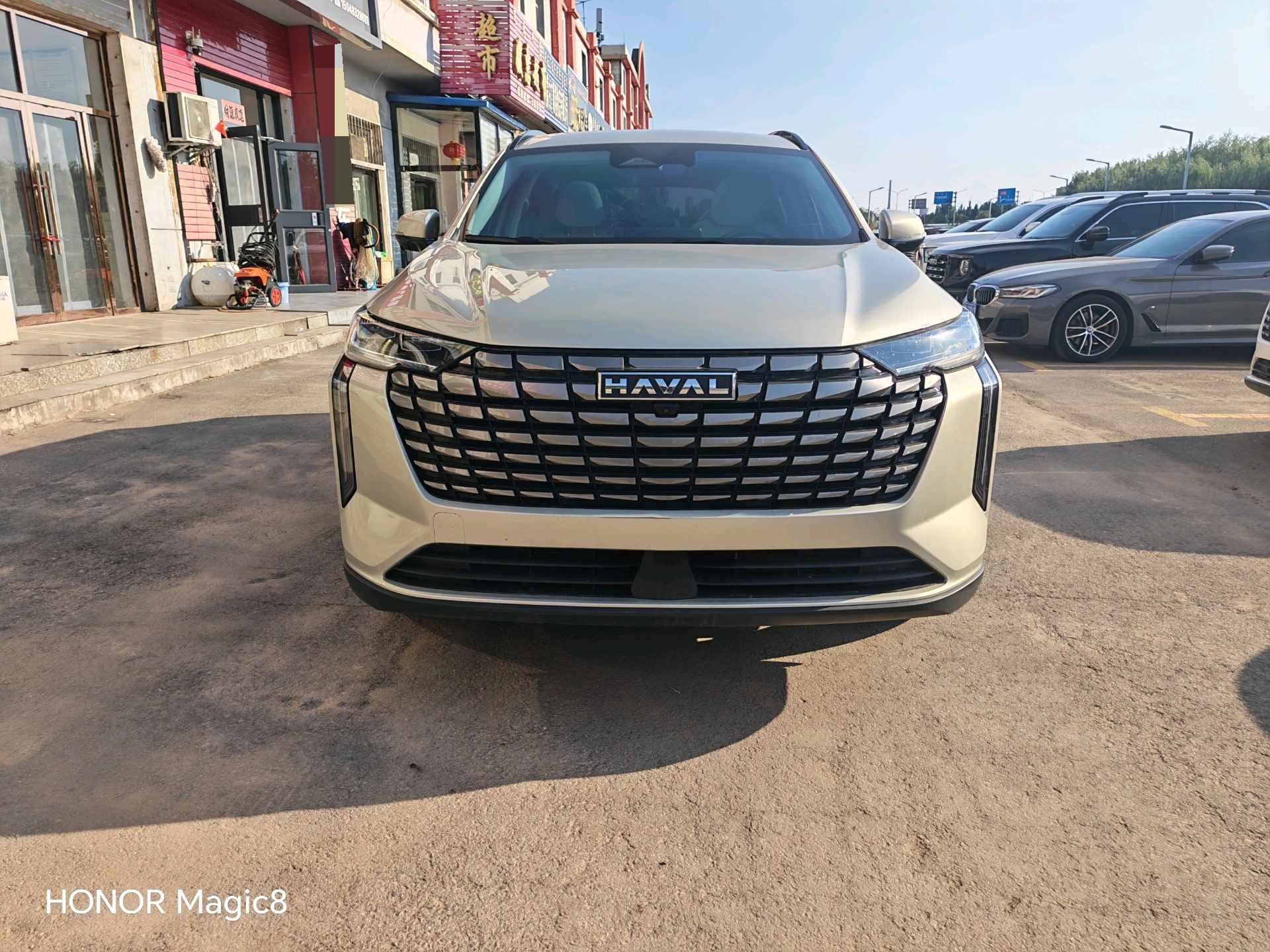 Haval 2024 H6 2.0T 4WD Max photo 2