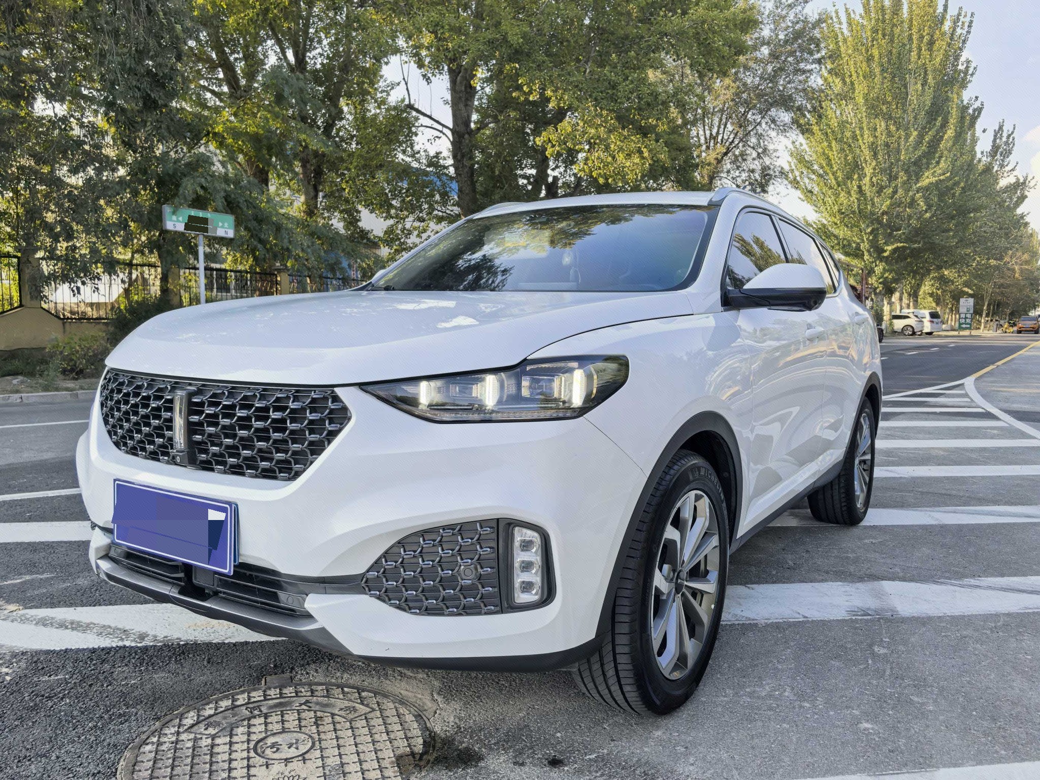 WEY 2020 VV6 2.0T AWD Intelligent Drive+