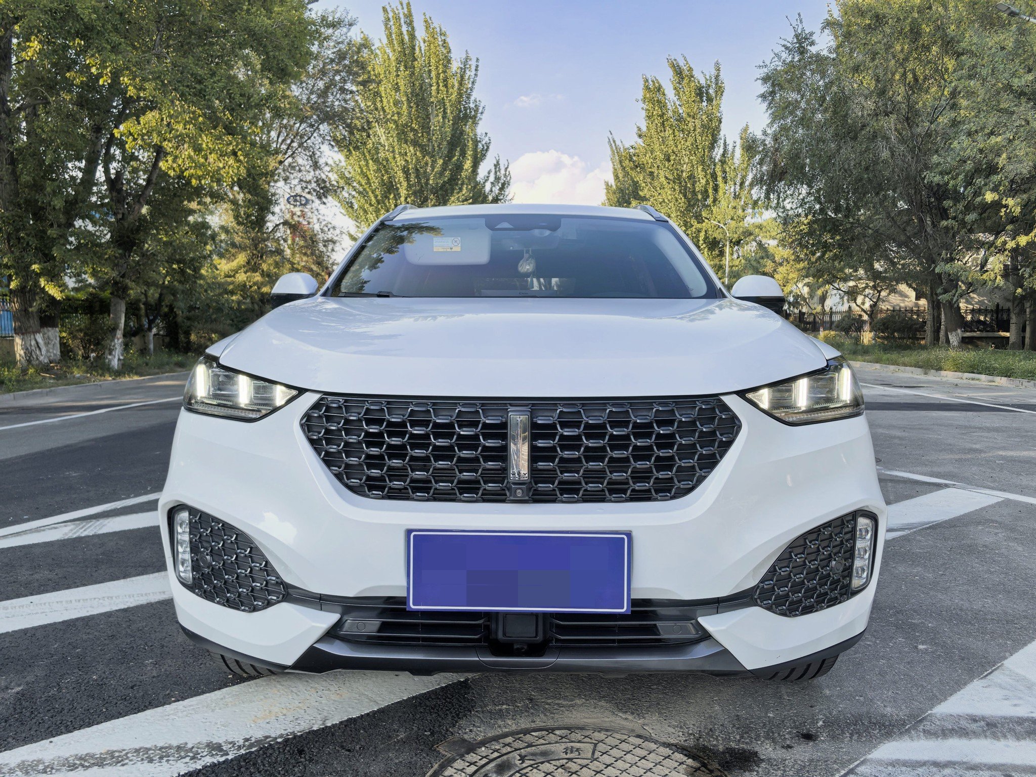 WEY 2020 VV6 2.0T AWD Intelligent Drive+ photo 2