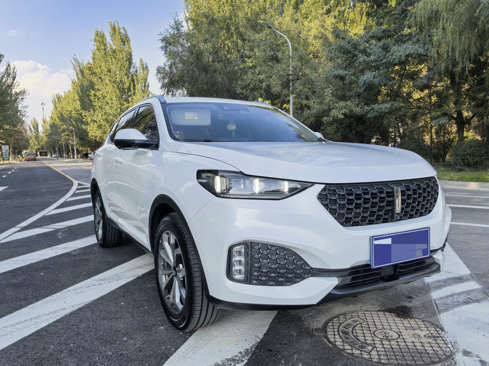 WEY 2020 VV6 2.0T AWD Intelligent Drive+ photo 3
