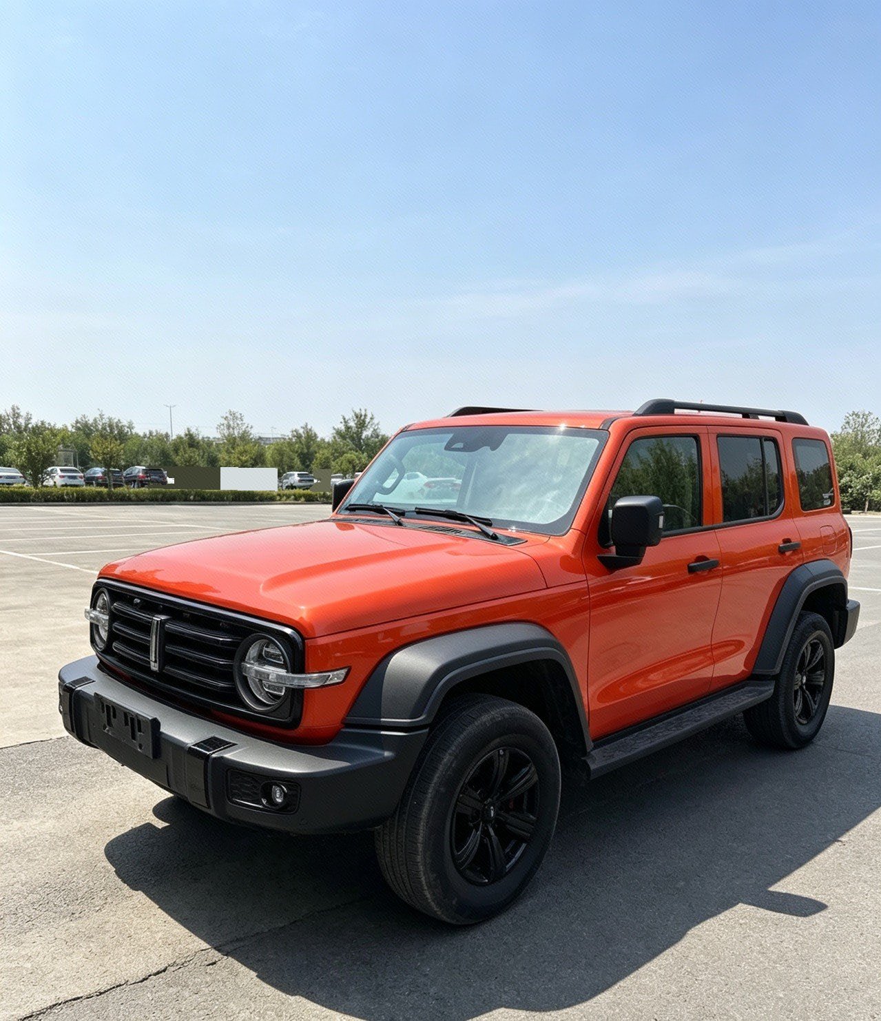 TANK Tank 300 2.0T Off-Road Edition Conqueror