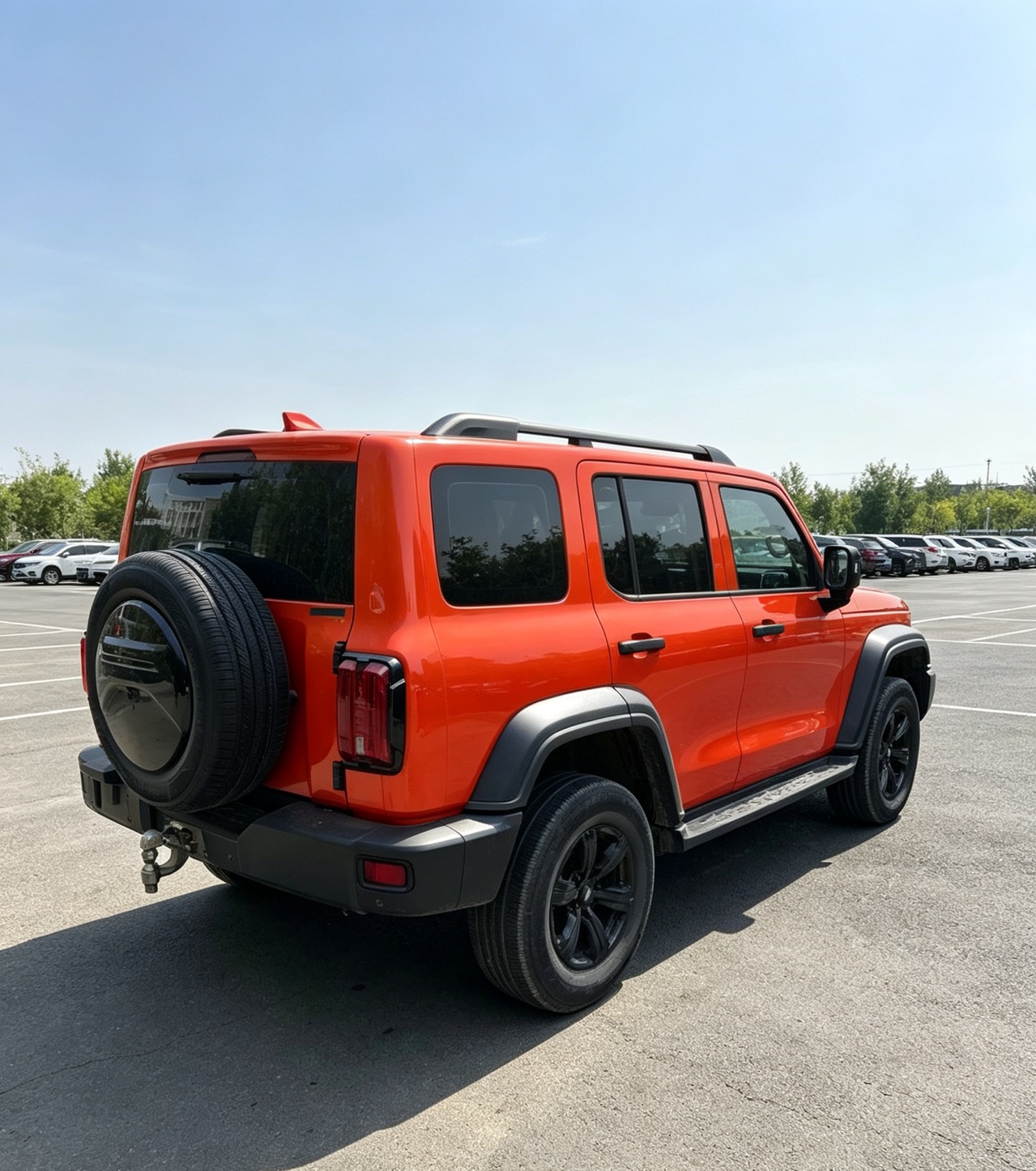 TANK Tank 300 2.0T Off-Road Edition Conqueror photo 4