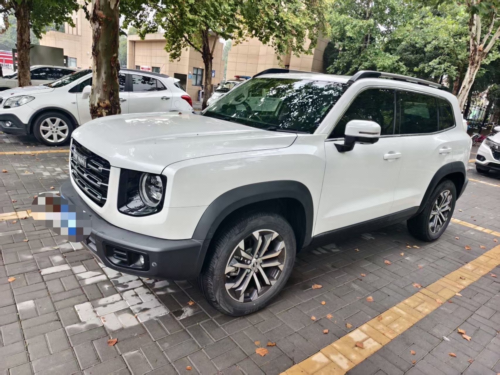 Haval Dargo 2022 Tank 300 1.5T 2WD Border Collie Edition