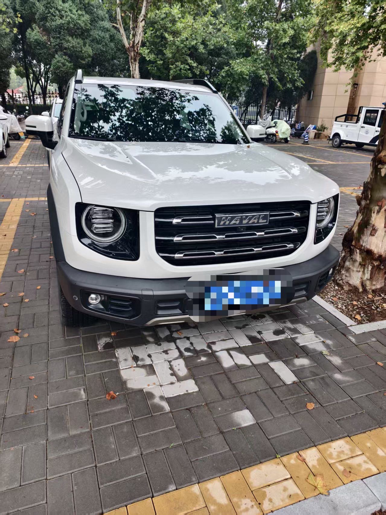 Haval Dargo 2022 Tank 300 1.5T 2WD Border Collie Edition photo 2