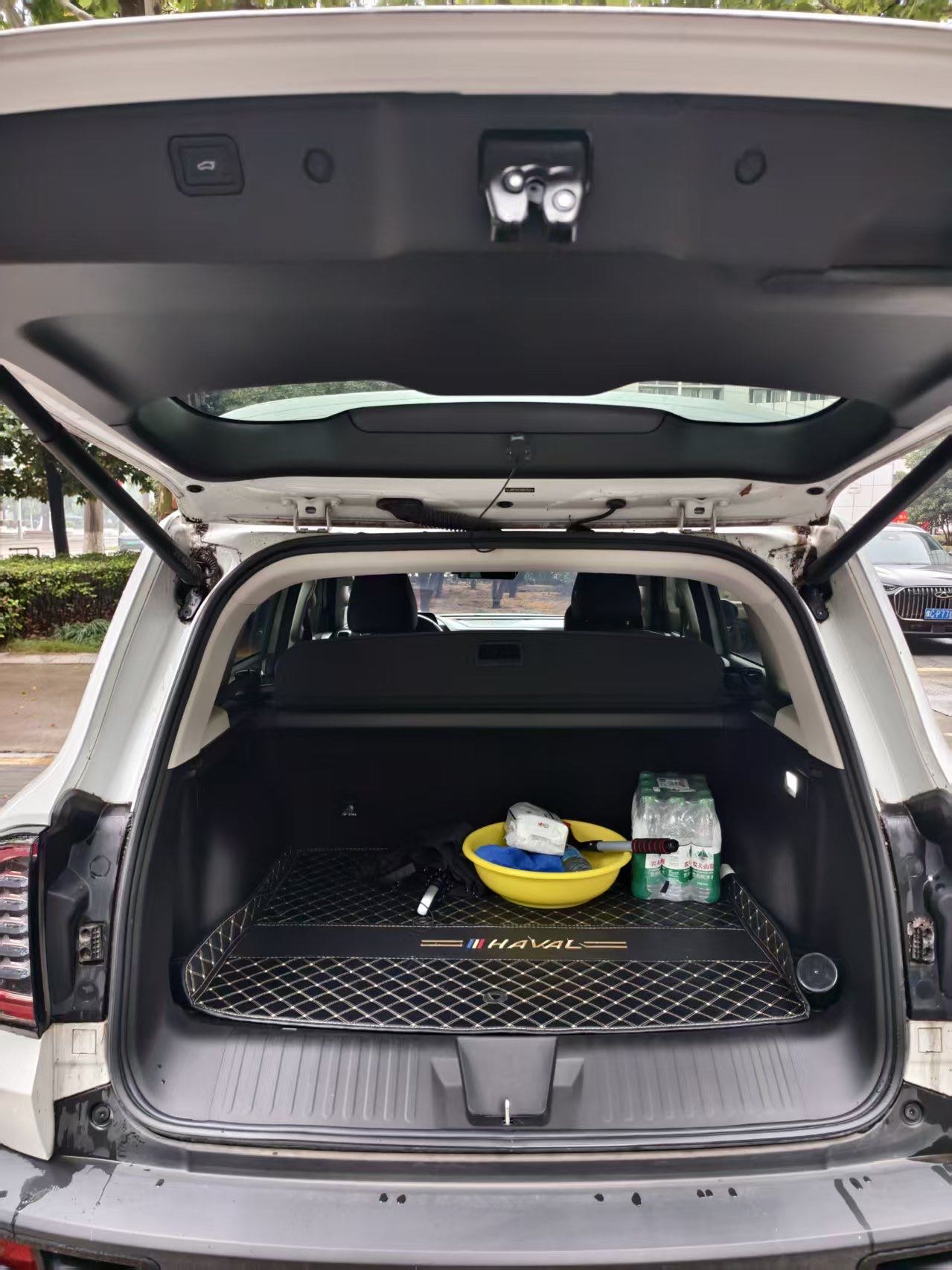 Haval Dargo 2022 Tank 300 1.5T 2WD Border Collie Edition photo 5