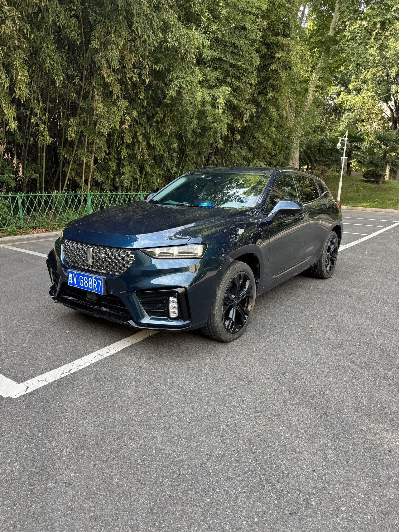 WEY 2020 VV7 2.0T Flagship Model