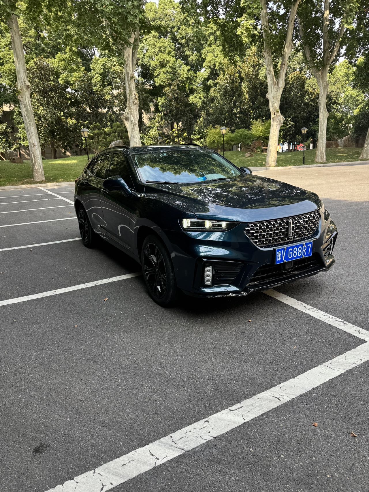 WEY 2020 VV7 2.0T Flagship Model photo 3