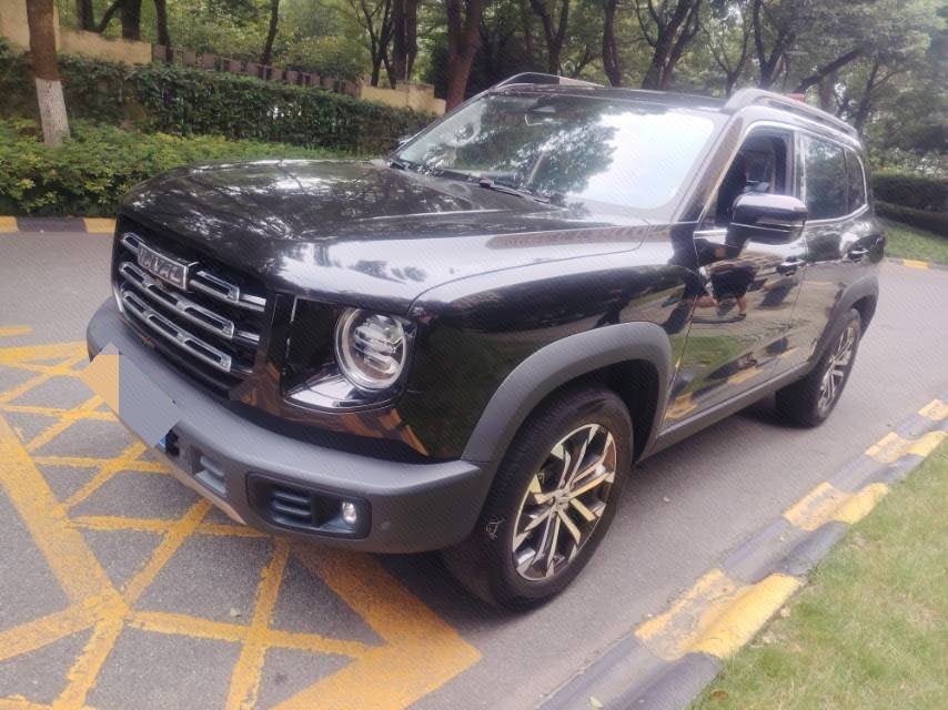 Haval Dargo 2021 Big Dog 1.5T Border Collie “Wang Cai” Edition
