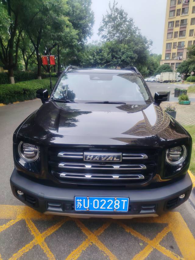 Haval Dargo 2021 Big Dog 1.5T Border Collie “Wang Cai” Edition foto 2