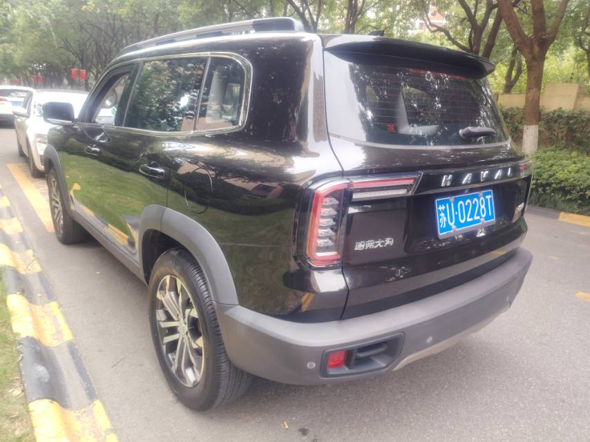Haval Dargo 2021 Big Dog 1.5T Border Collie “Wang Cai” Edition foto 4